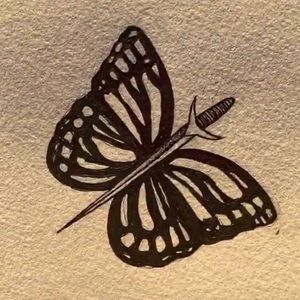 Meet your Posher, Anathea